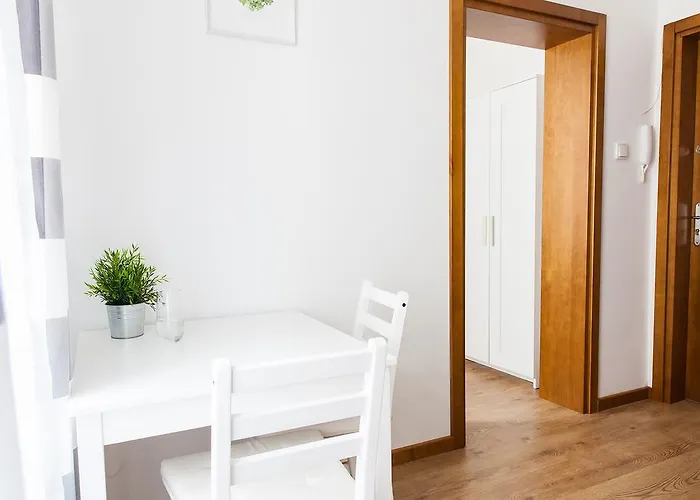 Fiszer 1 & 2 * 索波特